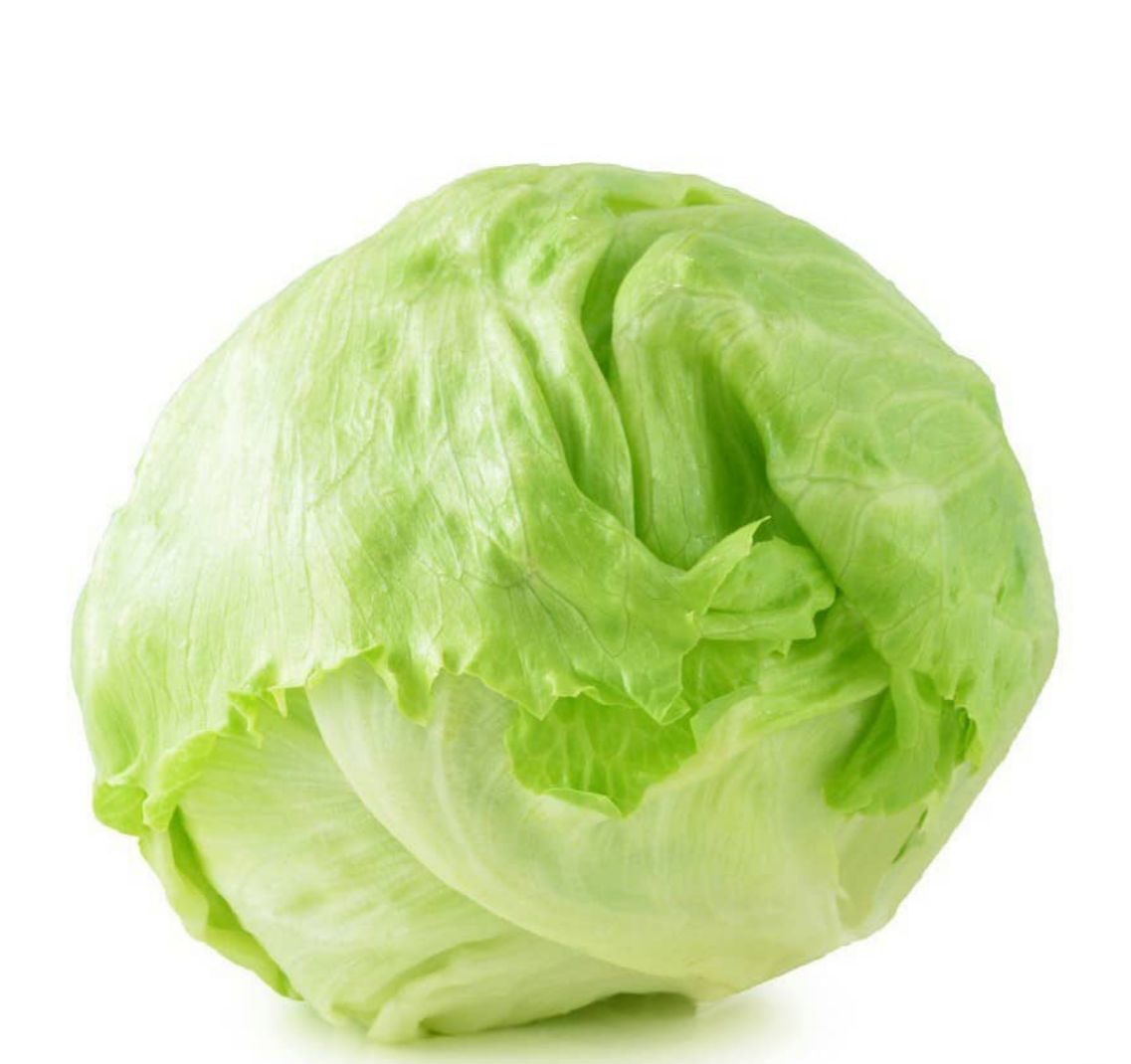 ريف كابوتشي للسلطه