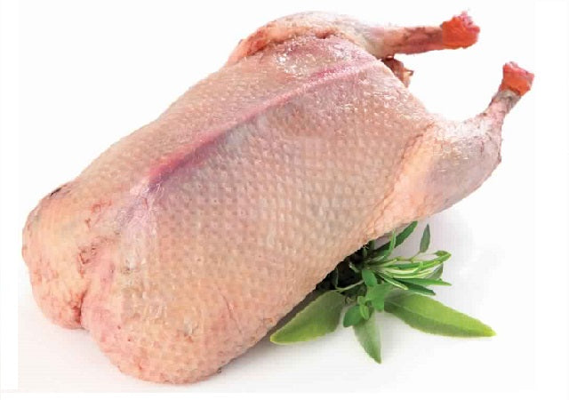 بط بلدي بالوزن