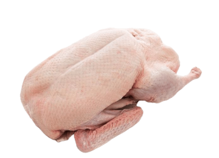 ديك رومي كامل بالوزن