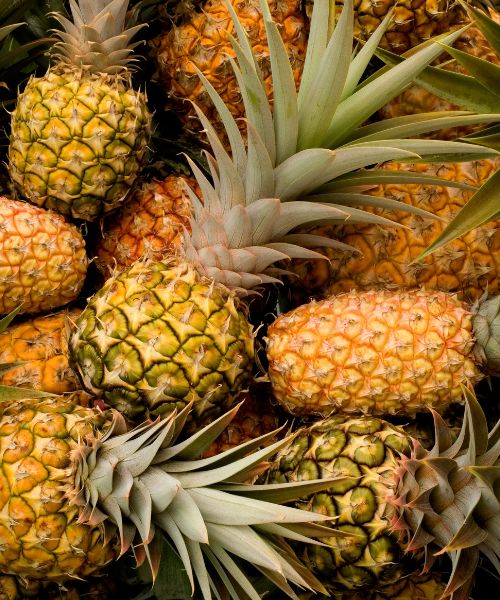 ريف اناناس بالقطعه