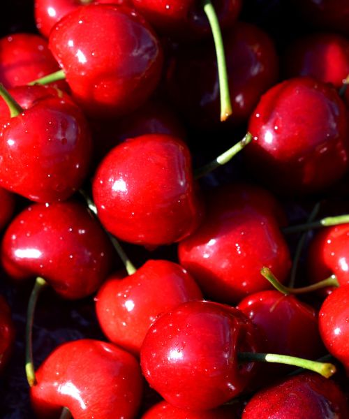 كريز من ريف 500كجم