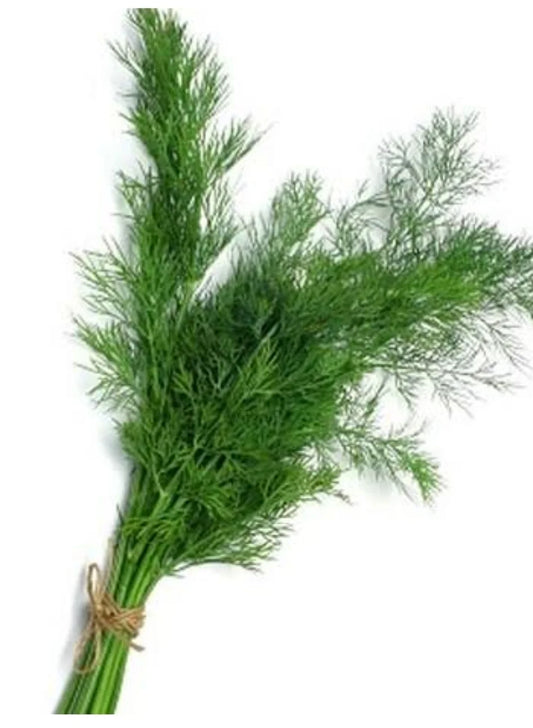 شبت من ريف 100 جرام