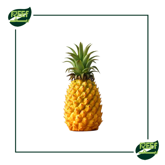 ريف اناناس بالوزن