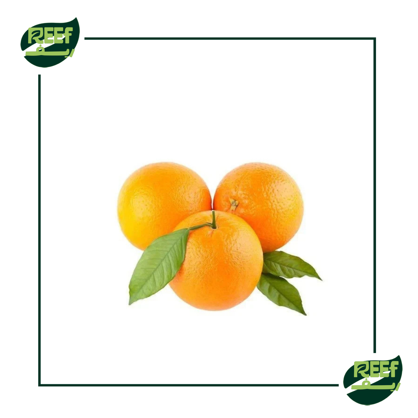 برتقال بسره طازج من ريف 1 كجم