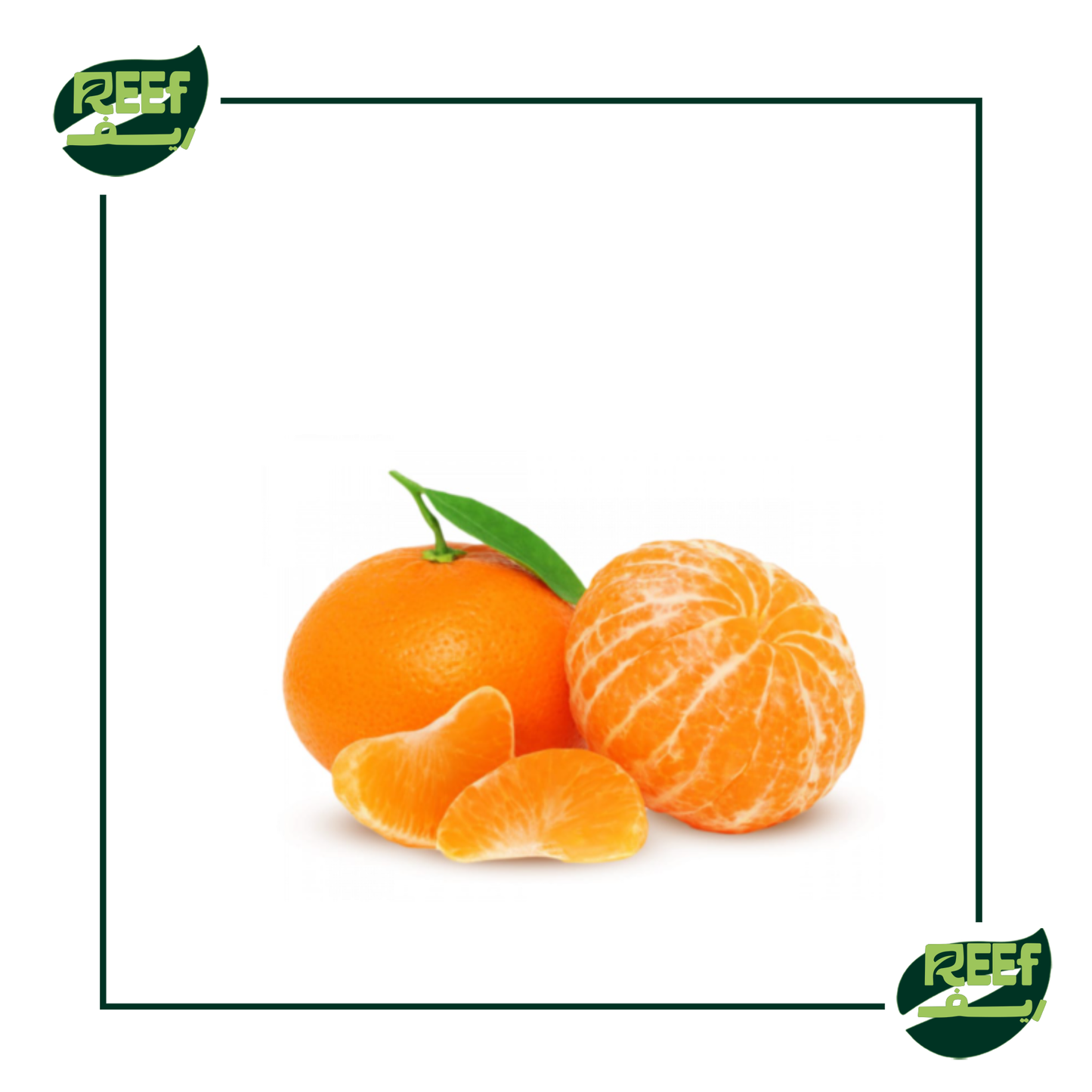 يوسفي بلدي من ريف 1 كجم