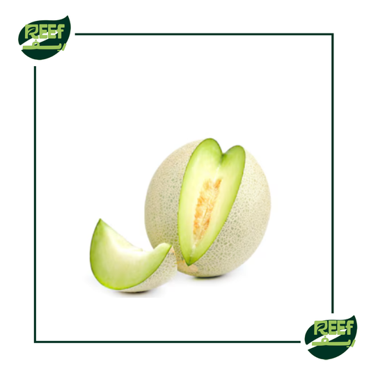 كانتلوب من ريف 2 كجم