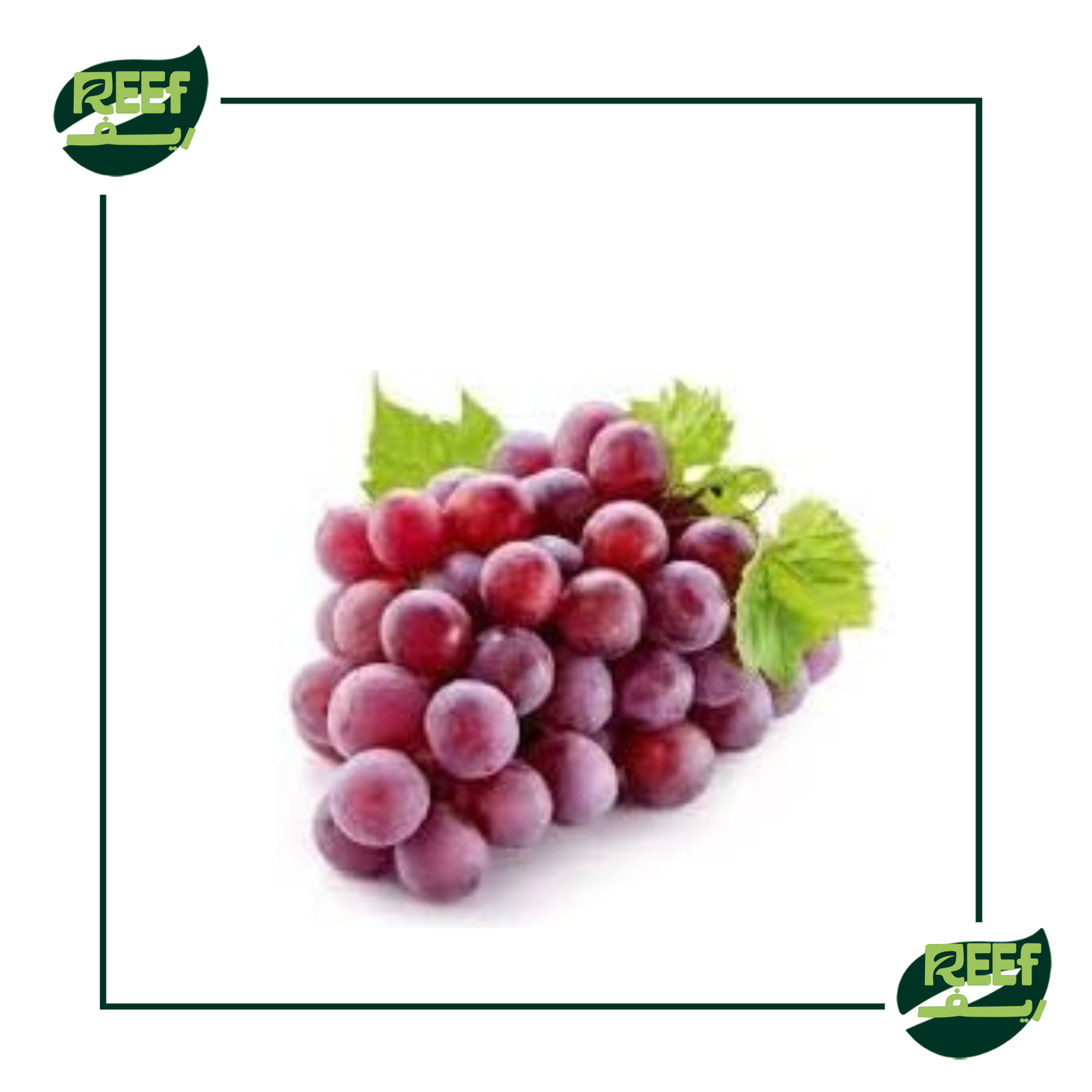 عنب احمر من مستورد ريف 1 كجم