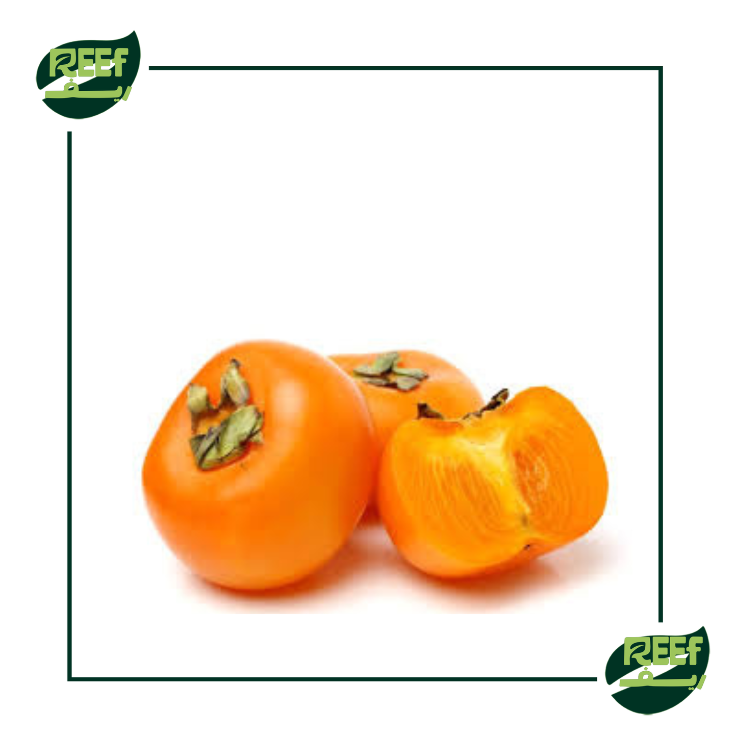 كاكا بلدي من ريف 500كجم