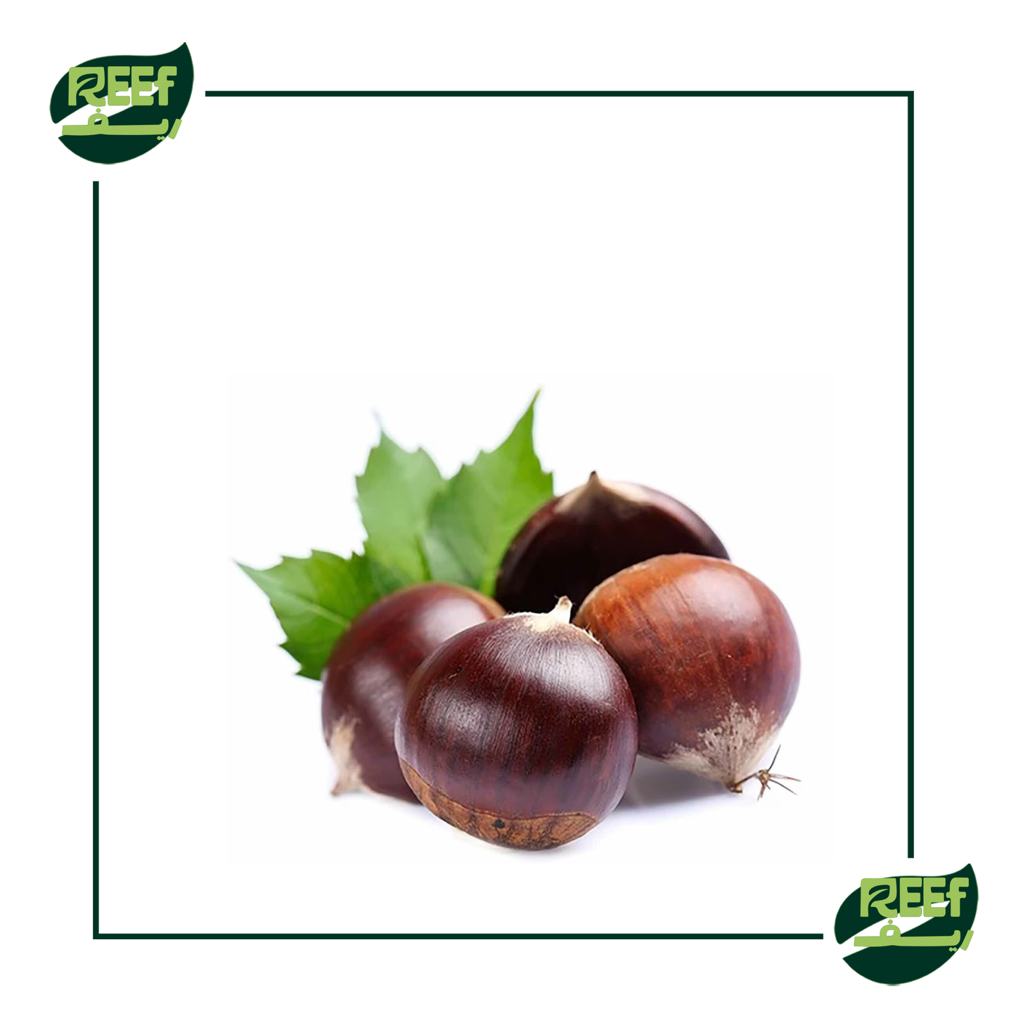 ابو فروه من ريف 1 كجم