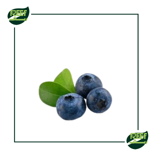 توت ازرق من ريف 125جرام