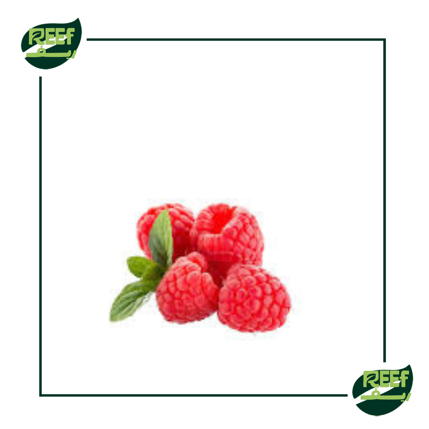 توت احمر من ريف 125جرام