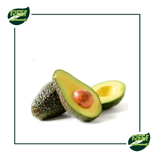 افوكادو بلدي من ريف 1 كجم