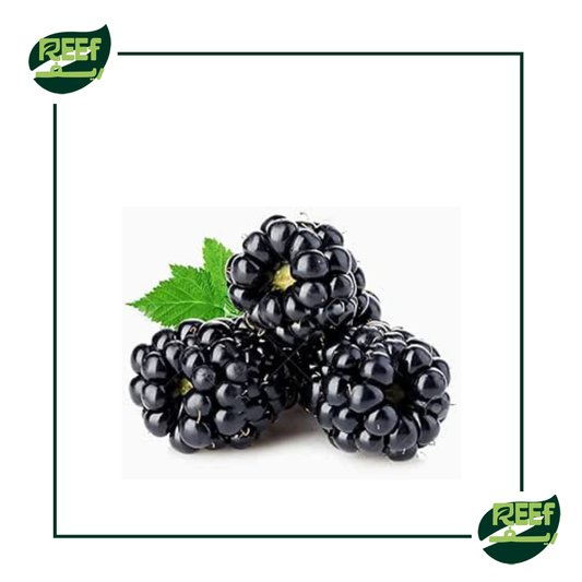 توت اسود من ريف 125جرام