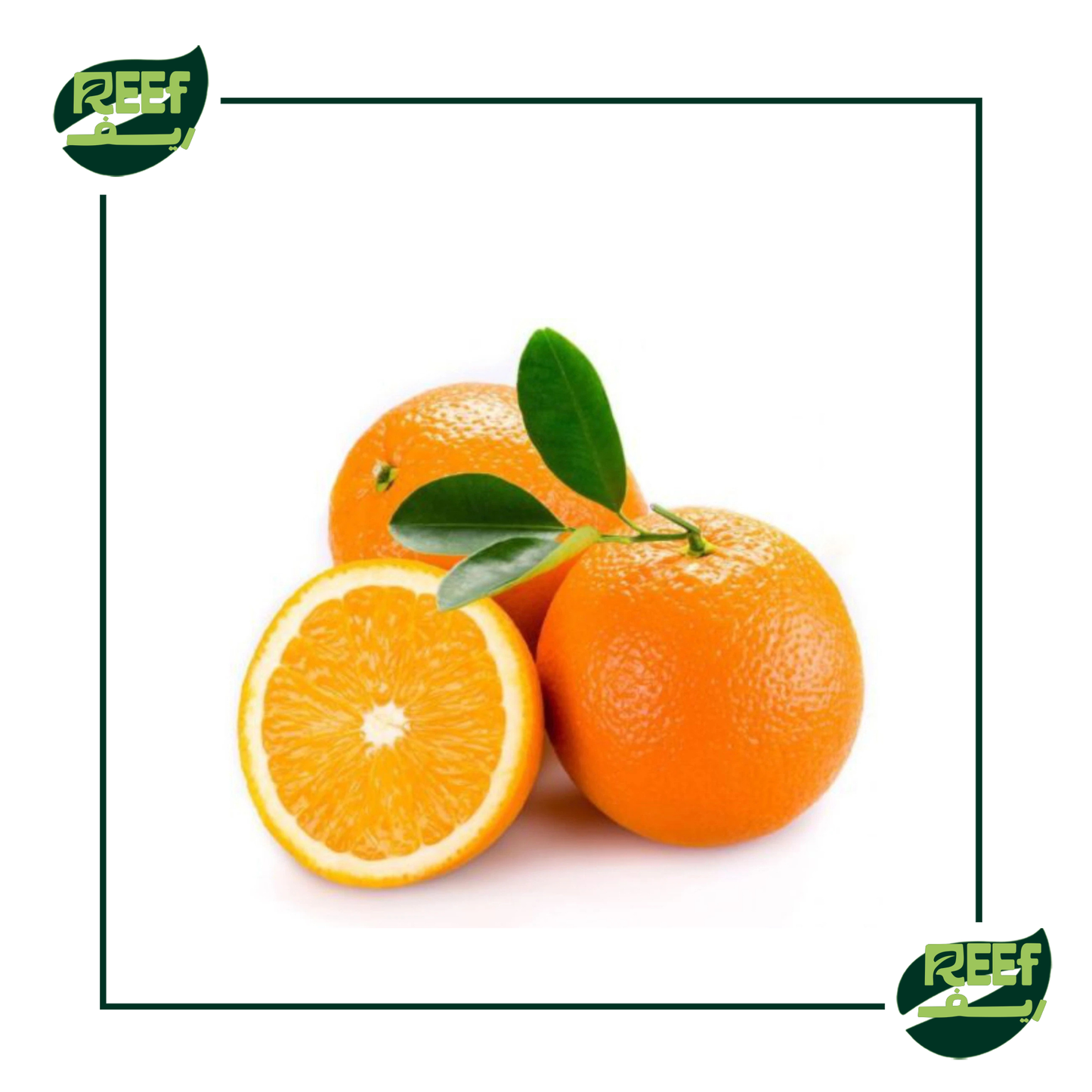 1 كجم (برتقال)