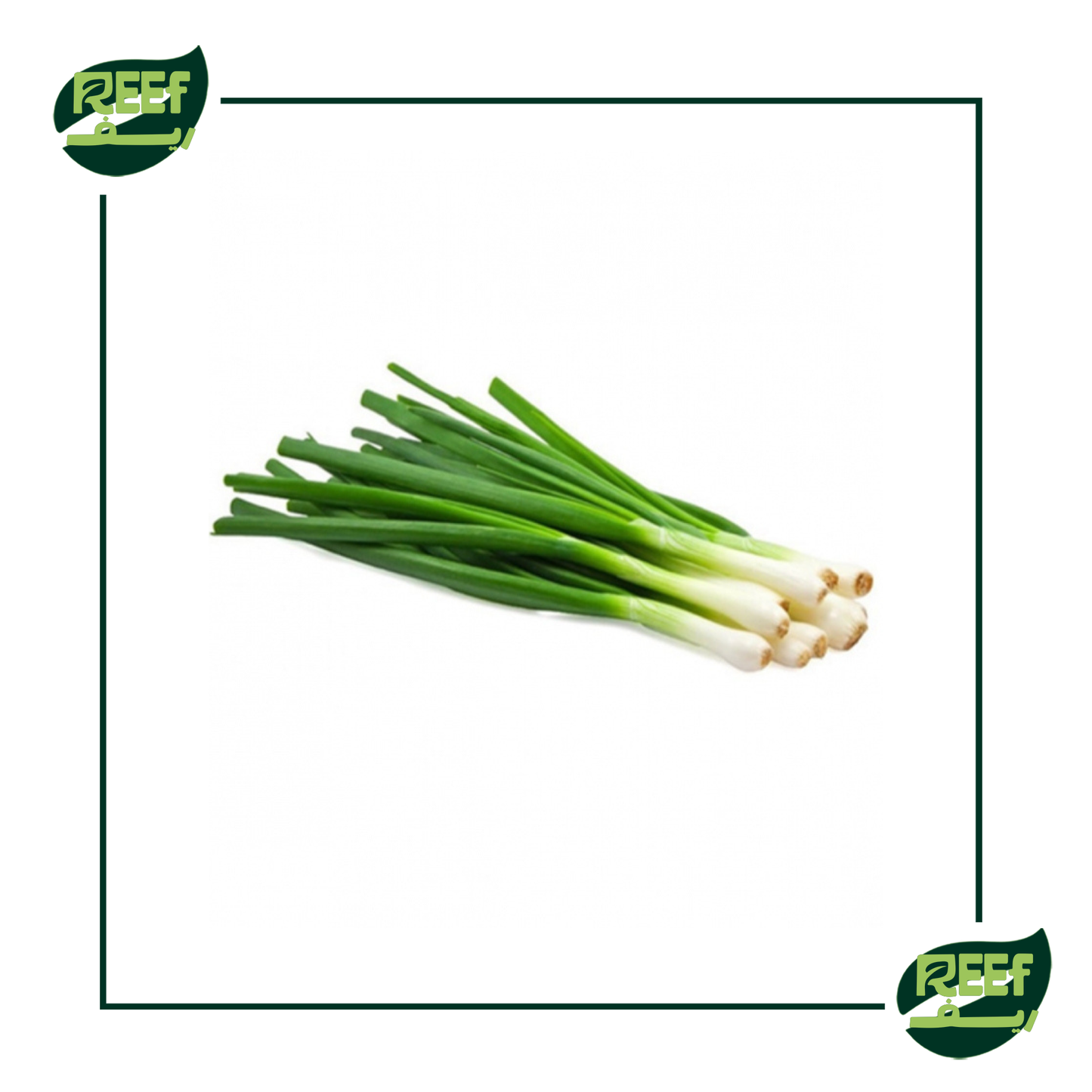 بصل اخضر من ريف125 جرام