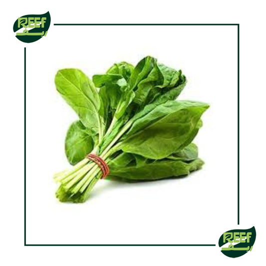 ريف سبانخ 1 قطعه