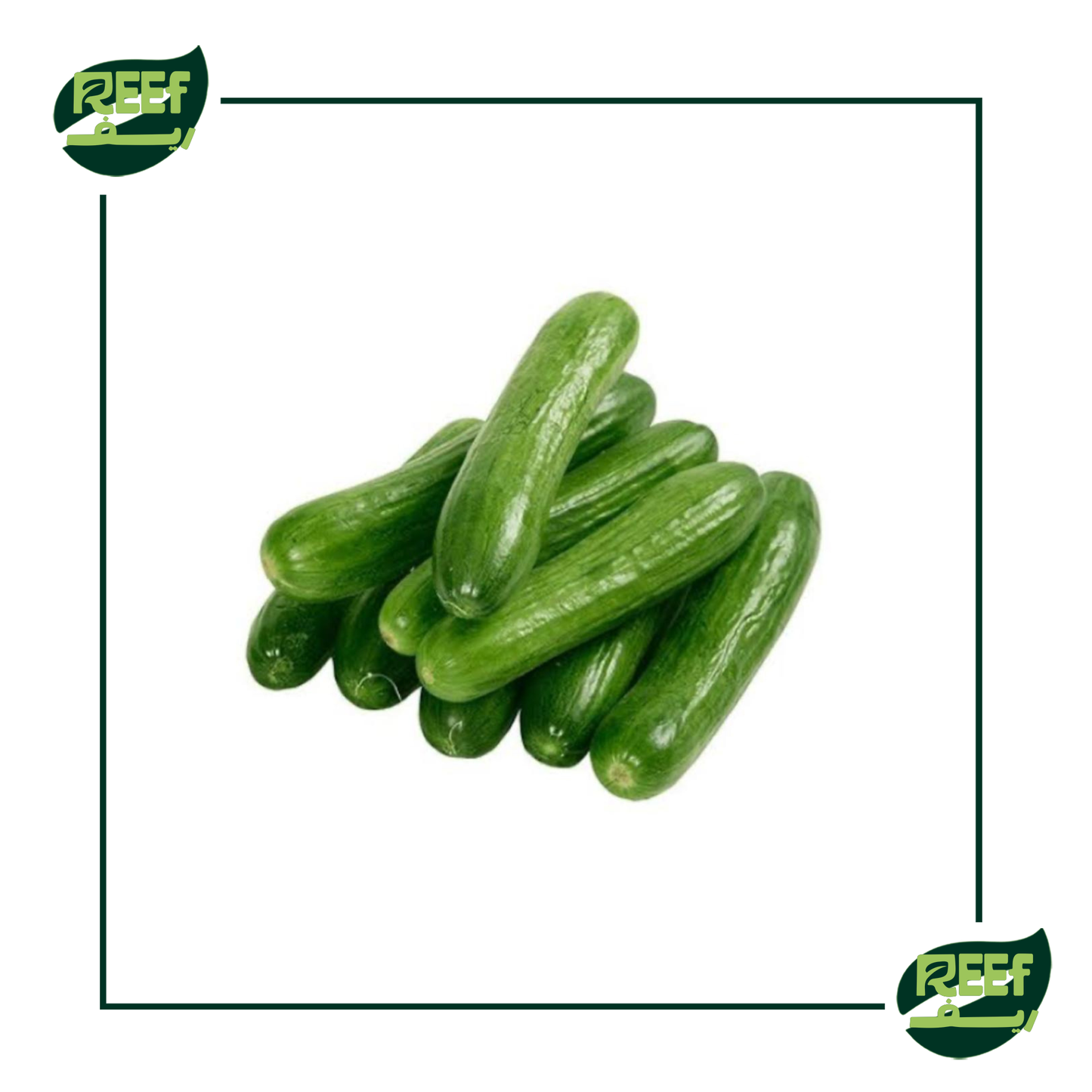 ريف خيار بلدي  1 كيلو