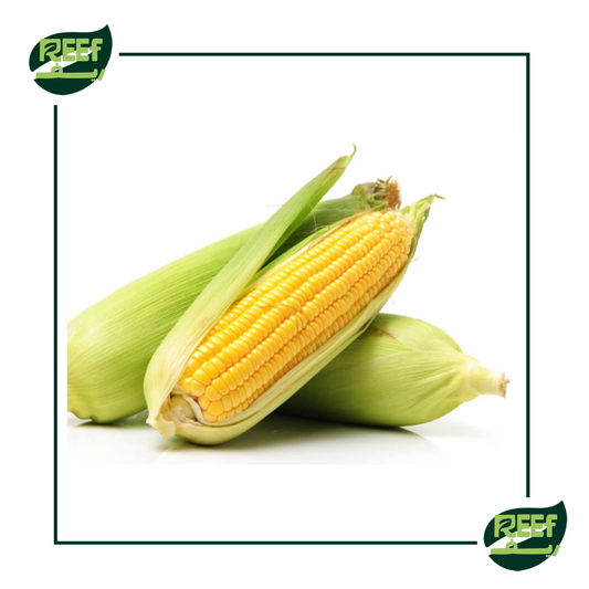 ذره  سكري من ريف 3 قطع