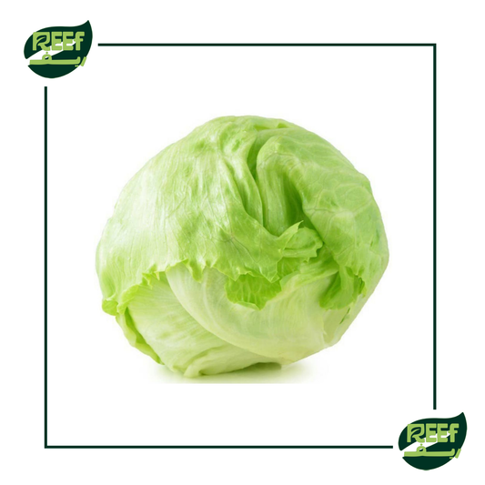 ريف كابوتشي 1 قطعه