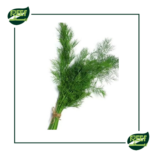 شبت من ريف 100 جرام