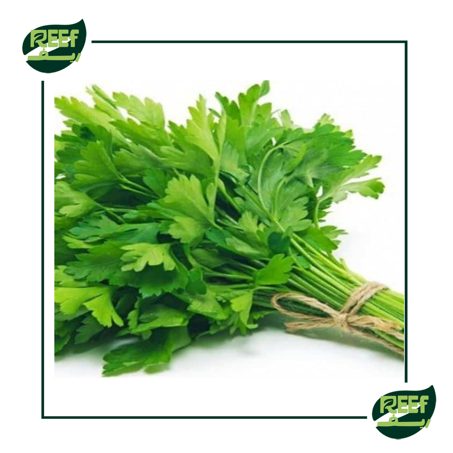 كرفس من ريف 250 جرام