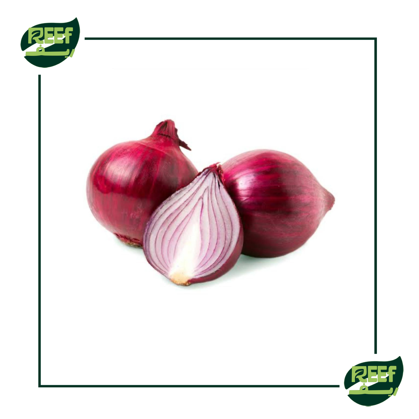 بصل احمر من ريف 1 كجم