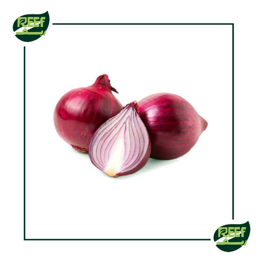 بصل احمر من ريف 1 كجم