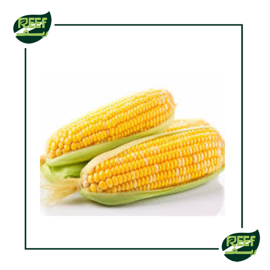 ذره سكري 2 قطعه