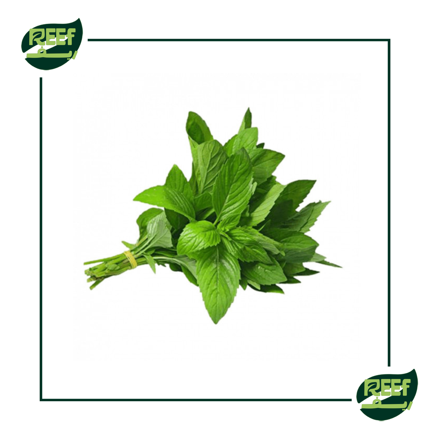 نعناع من ريف 100 جرام