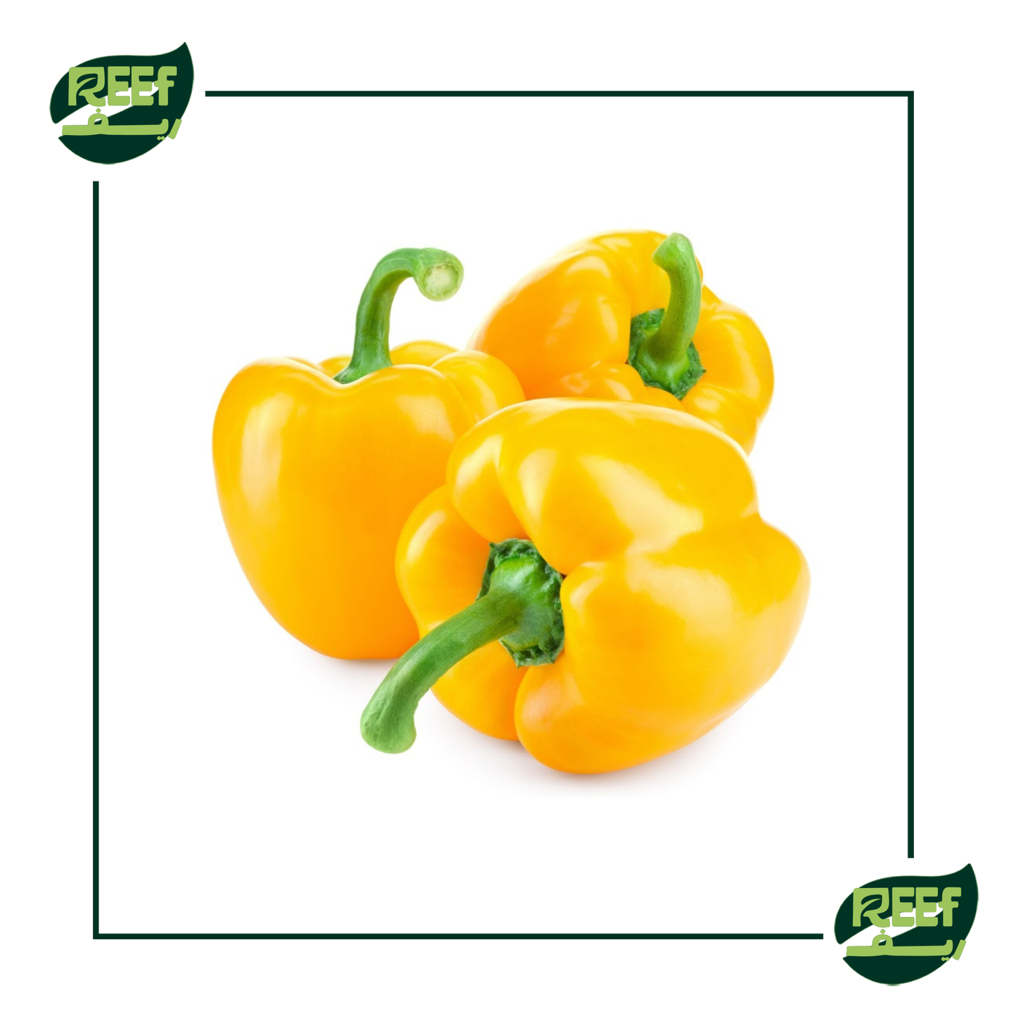 فلفل الوان اصفر 500 جرام