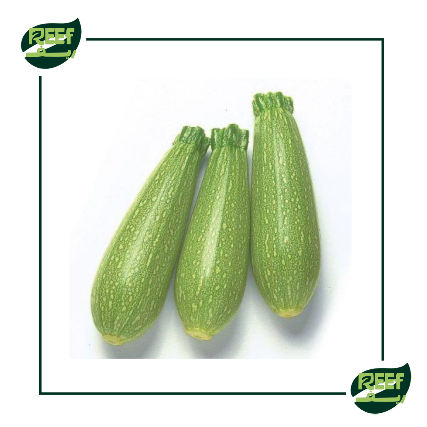 كوسه بلدي من ريف 1 كجم