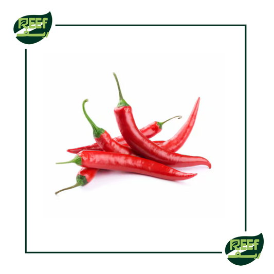 فلفل احمر حار من ريف 250 جرام