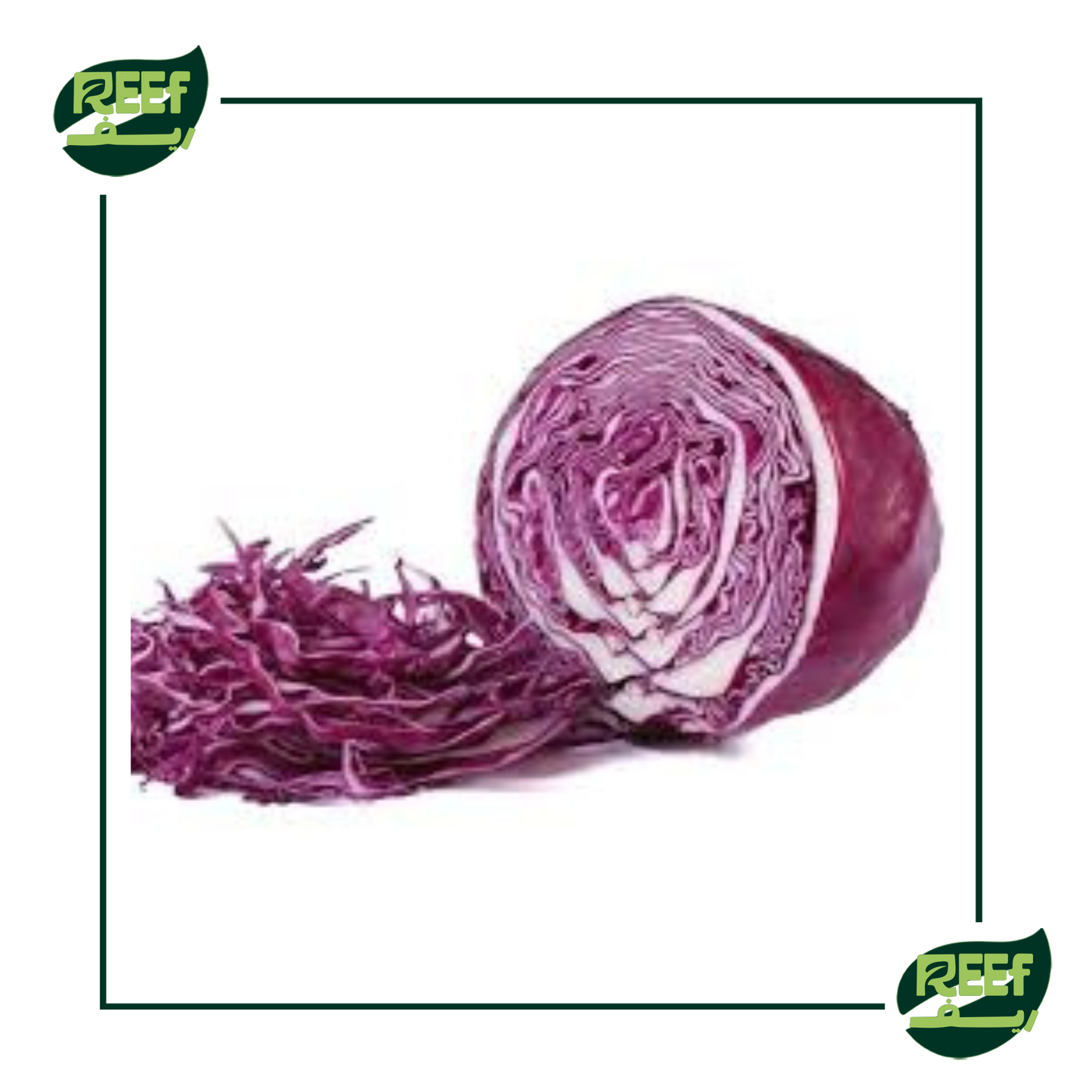 كرنب احمر 1 قطعه