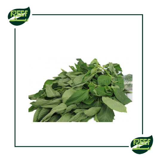 ملوخيه مقطفه من ريف 500 جرام