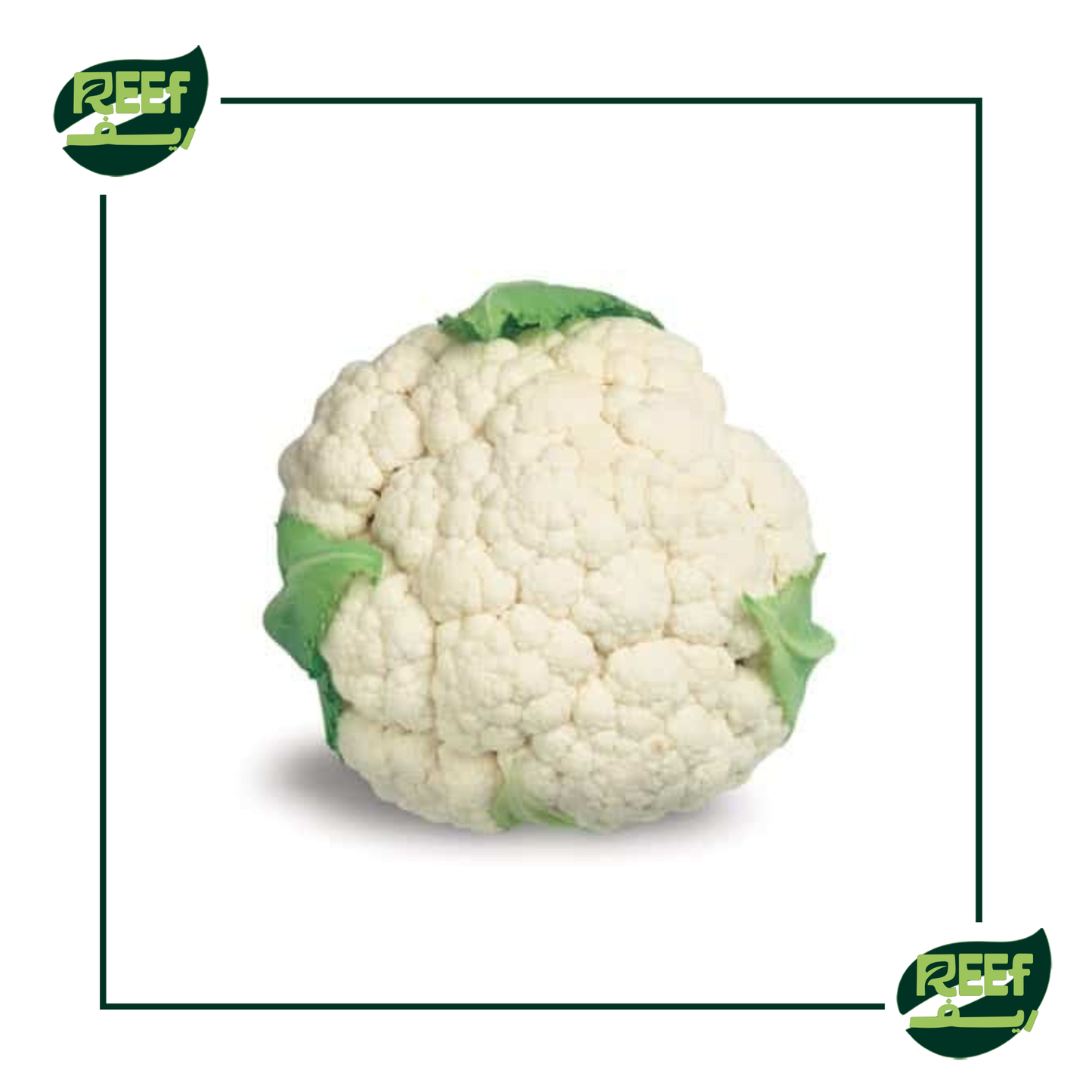 ريف قرنبيط 1 قطعه