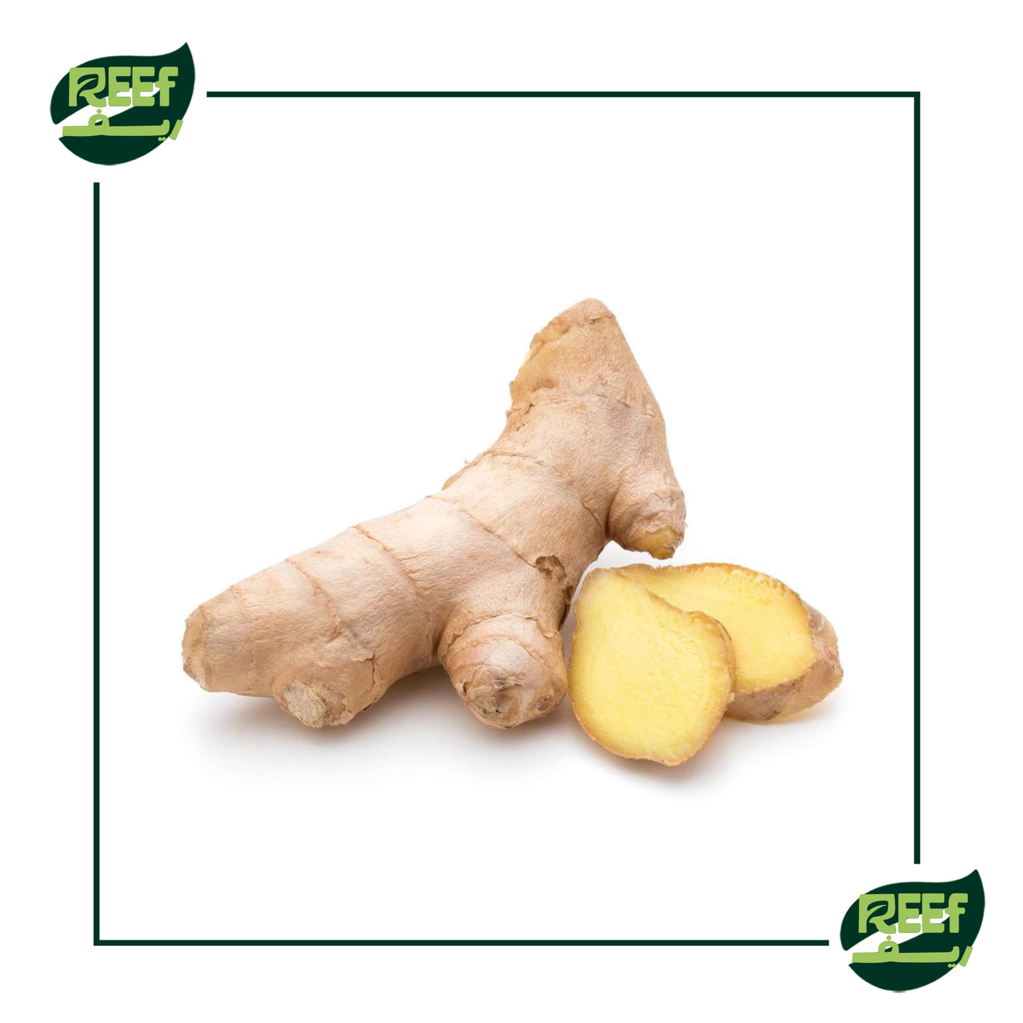 ريف جنزبيل 100 جرام