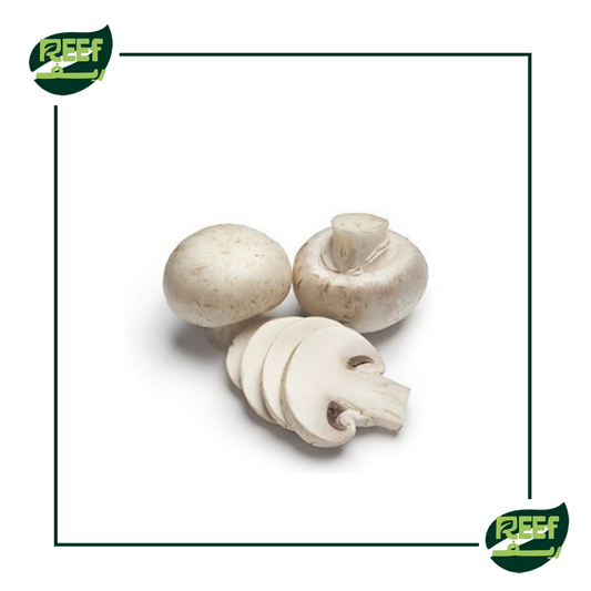 مشروم فريش من ريف 250 جرام