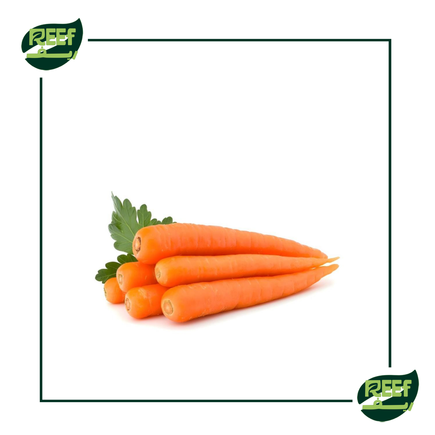 خضري مادي 1 ناي