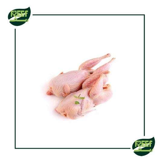 جوز حمام بلدي