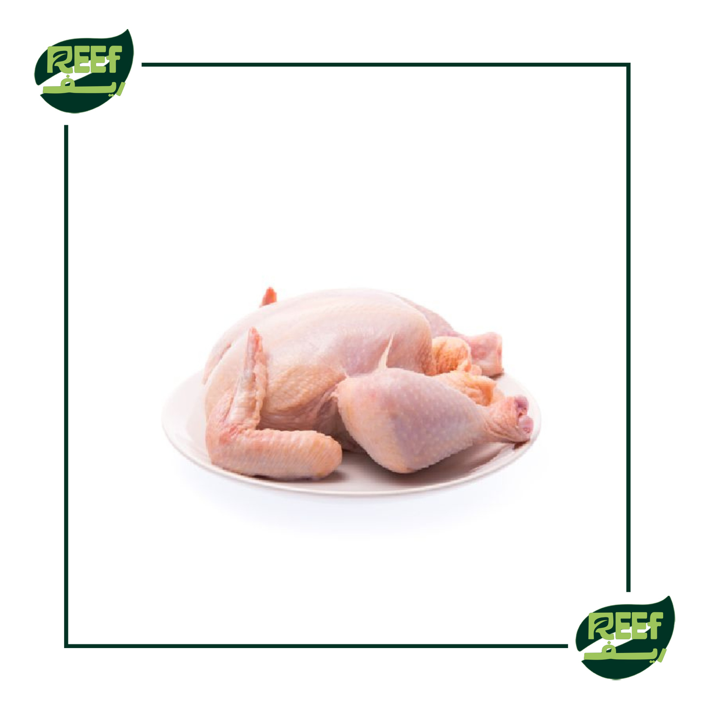 فراخ بيضا من ريف وزن بالكيلو صافي