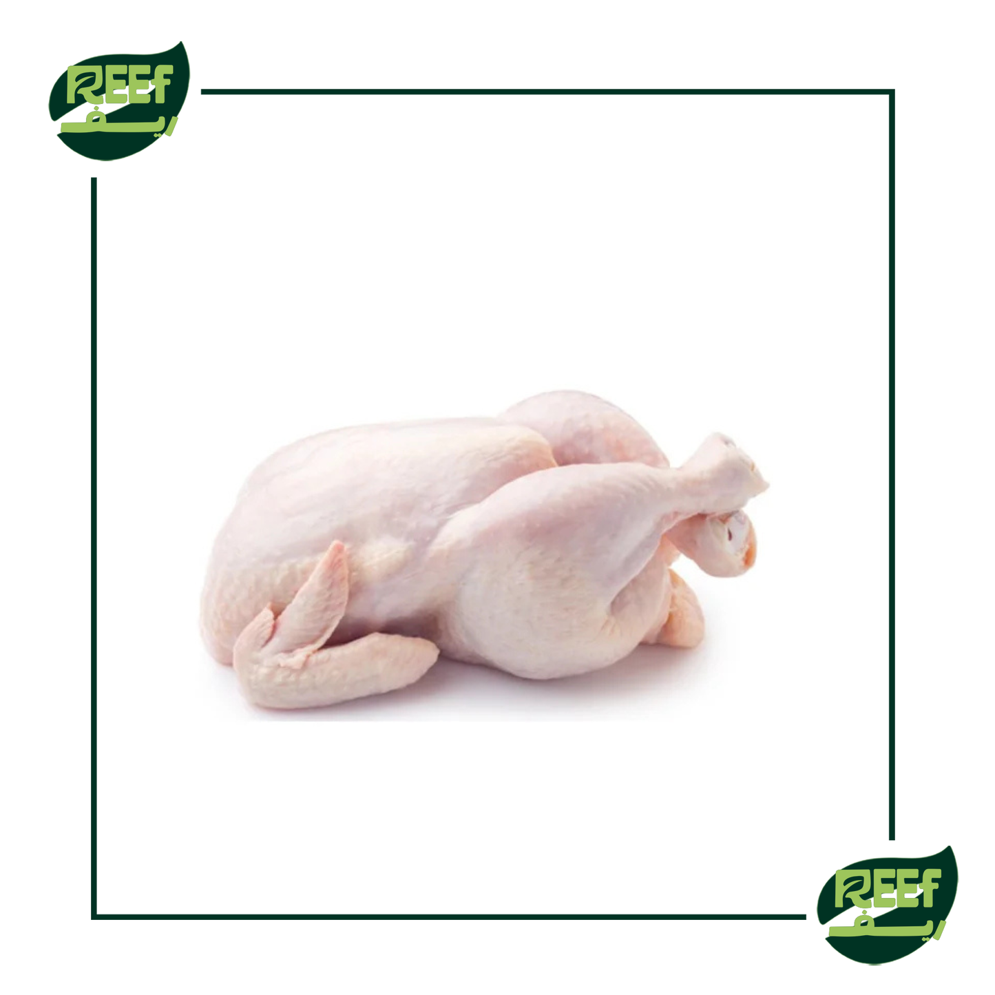 فراخ بلدي من ريف وزن كيلو صافي