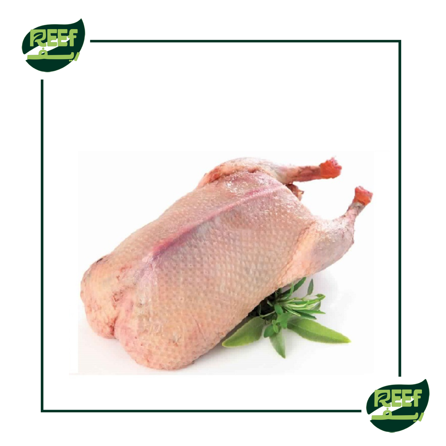 بط بلدي بالوزن