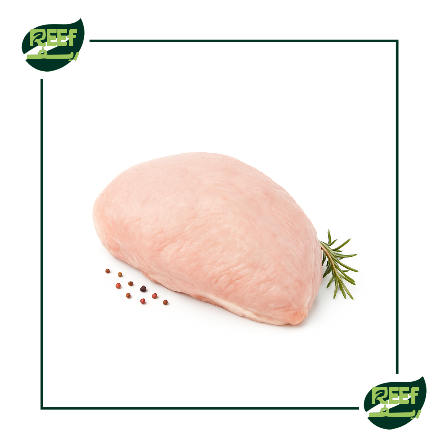 ديك رومي صدور بالوزن