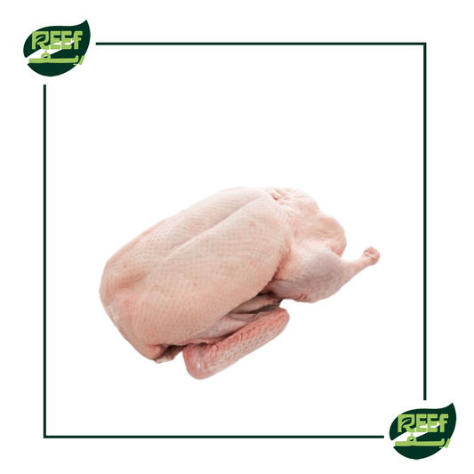 ديك رومي كامل بالوزن