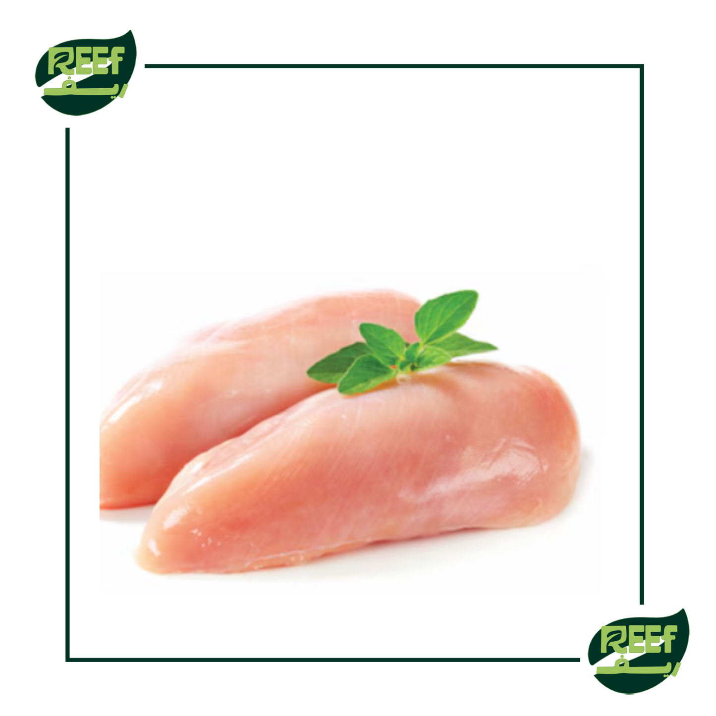 صدور دجاج مخليه