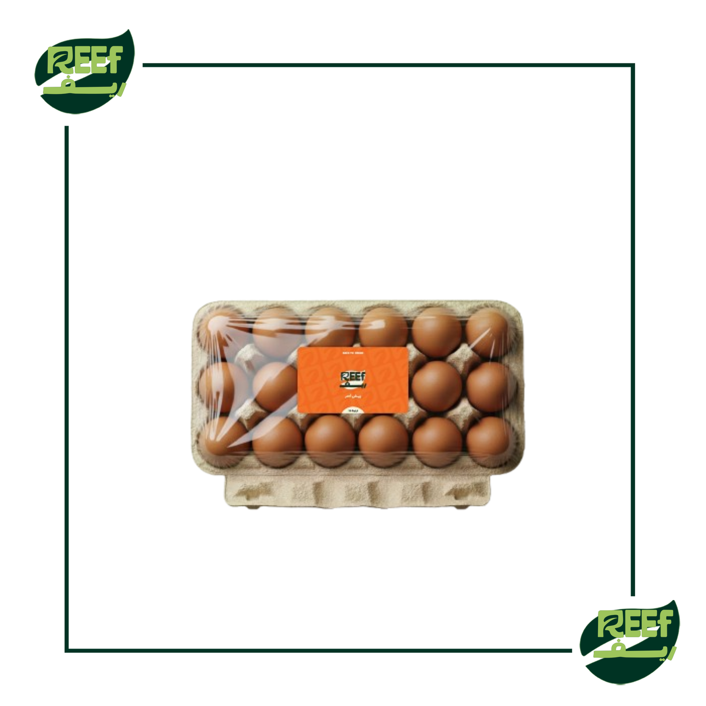 بيض احمر من ريف 15 بيضه