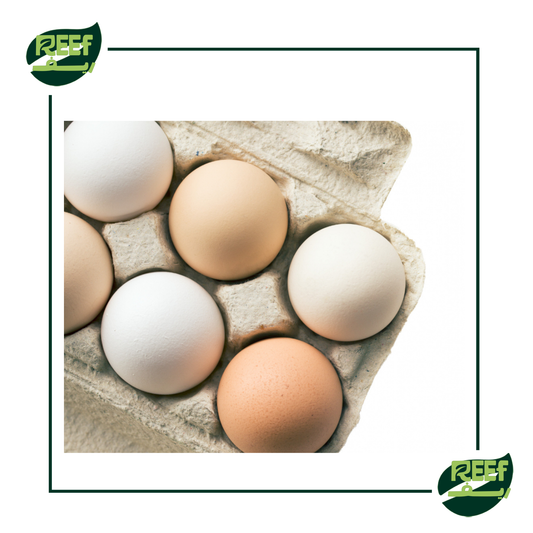 بيض بلدي من ريف 15 بيضه