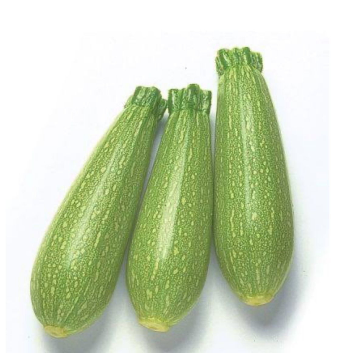 كوسه بلدي من ريف 1 كجم