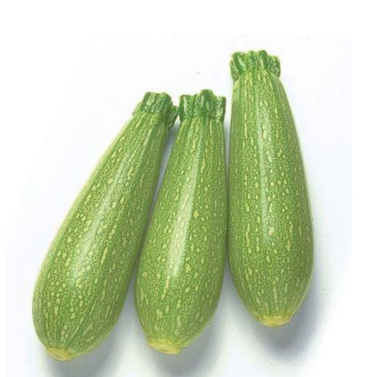 كوسه بلدي من ريف 1 كجم