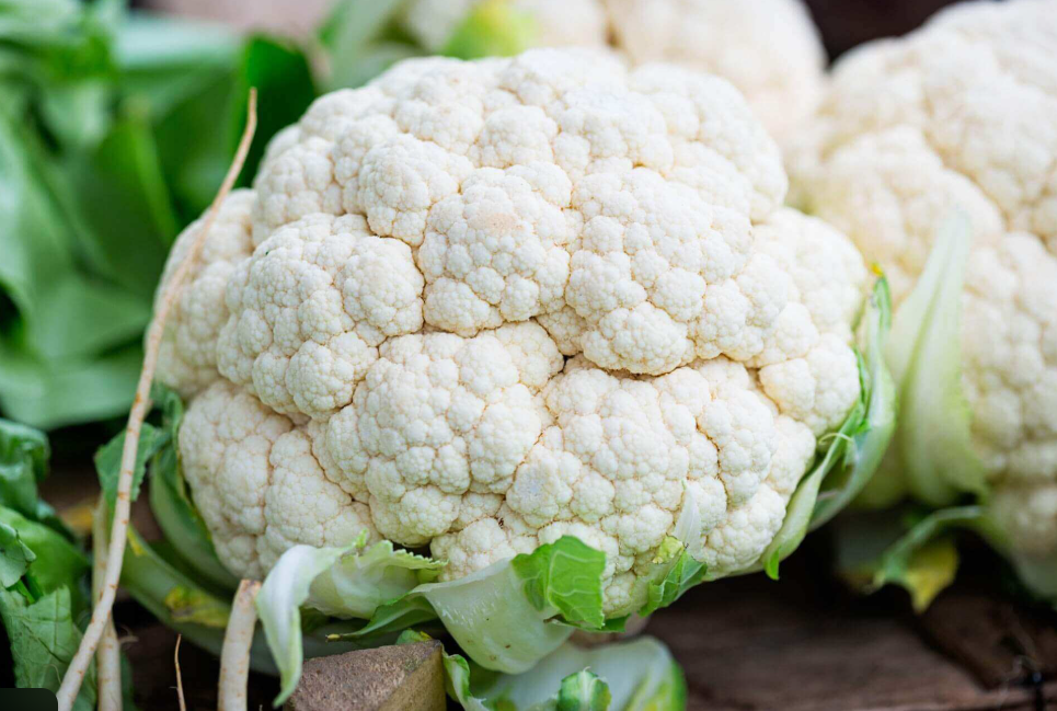 1 kg (قرنبيط ابيض بلدي )